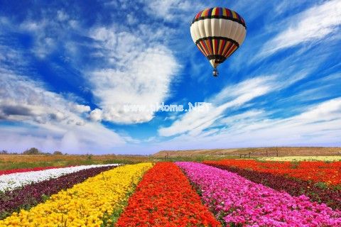 qq空间情感说说 qq情感说说大全