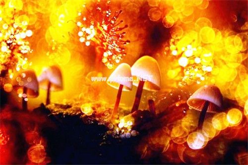 一个人夜晚走在马路上的伤感说说精选50句