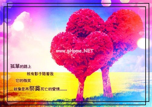 我放弃一切去爱你的说说