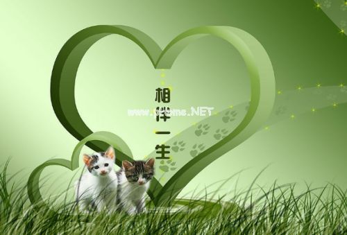 两个人相伴一生的说说