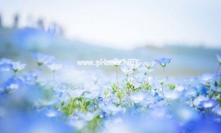 最新版情感说说短语大全