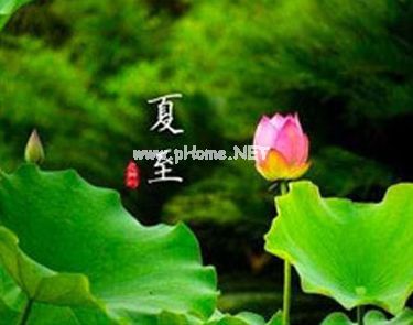 2021夏至节气早安说说大全 夏至很唯美的早安说说