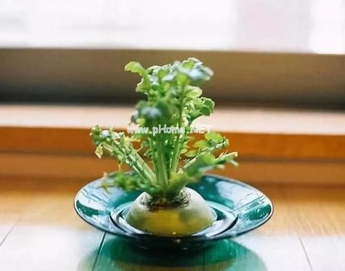 简短文艺小清新短句说说10句