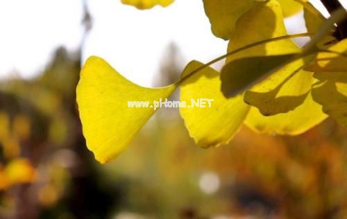 简短伤感的短句子 心情不好个性签名说说31句