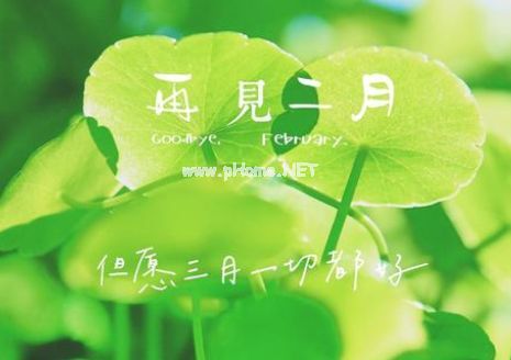 二月再见三月你好朋友圈句子 2023二月再见的伤感说说28句