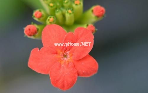 表达心里苦的说说伤感短句子