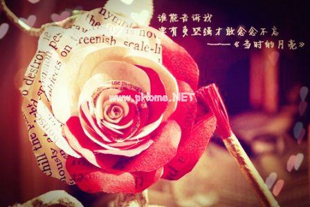 关于一个人的经典说说
