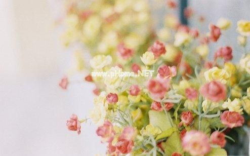 恭喜结婚的祝福句子大全 国庆结婚的祝福语句