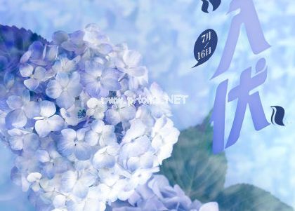 2023三伏天朋友圈说说 三伏天最美祝福语说说29句