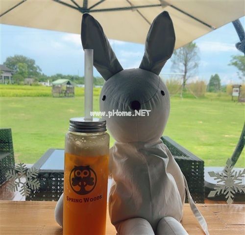 夏天热不想出门的说说 夏天太热发朋友圈说说27句