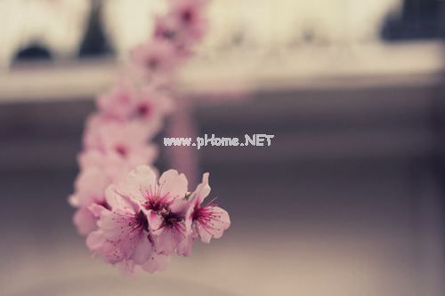 关于五一劳动节的句子