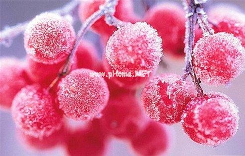 七夕情人节简短甜蜜的祝福句子
