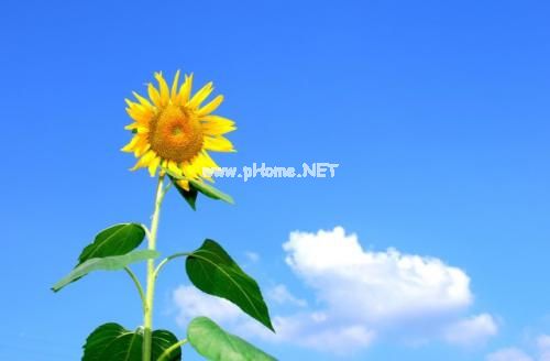 得知高考延迟考试的朋友圈句子 适合高考延期发的说说推荐36句