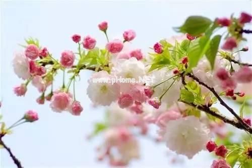 平淡的日子的心情说说16句