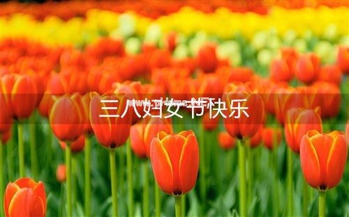 38妇女节心情说说 38妇女节说说怎么写