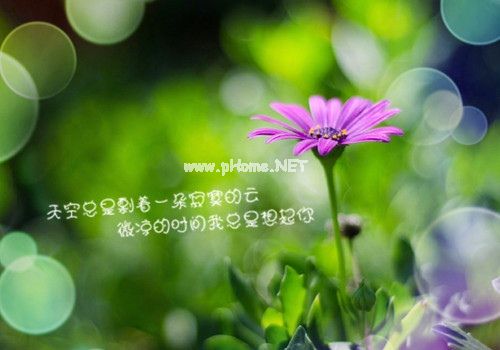 我是一个感性的人说说21句