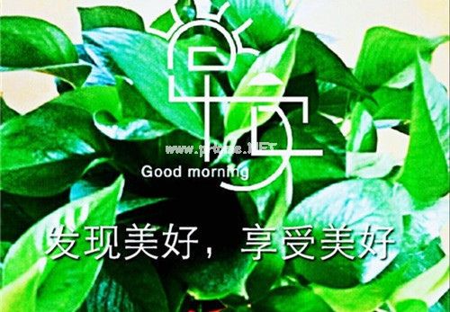 值得共勉的早安说说配图