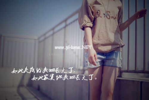 早起的鸟儿被虫吃的说说