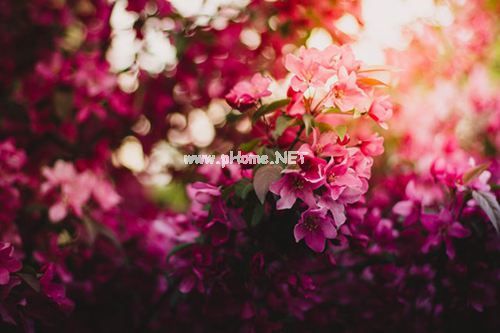 青年节快乐祝福语 五四青年节寄语