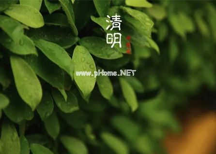 过生日碰上清明节的文案 清明节跟生日同一天的有趣说说
