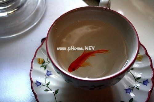 说说心情短 个人说说心情