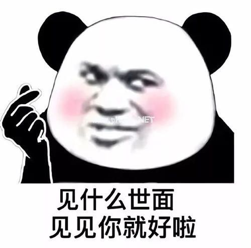 没心没肺的霸气心情语录