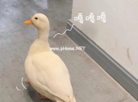 大人过儿童节的有趣说说大全 成人过六一的幽默说说2023