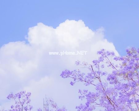 一些美到可以长久存在于脑海里的句子 优美又好听的文案说说31句