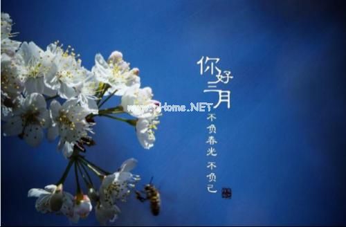 三月你好的心情说说21句