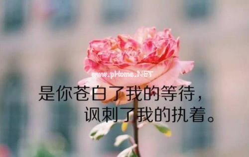 发说说简短句子 适合发个性签名的短句