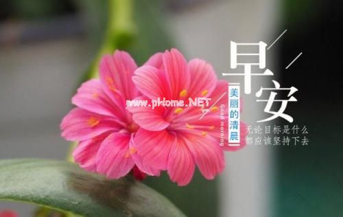 每天早上有个心情短句 早上醒来心情说说句子23句