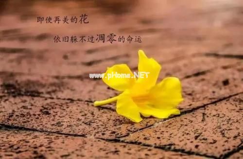 男生成熟经典语录说说