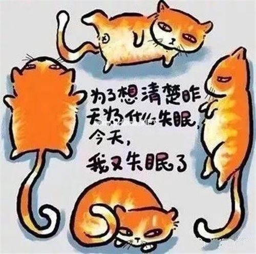 每晚都失眠的说说 分手伤心失眠的说说32句