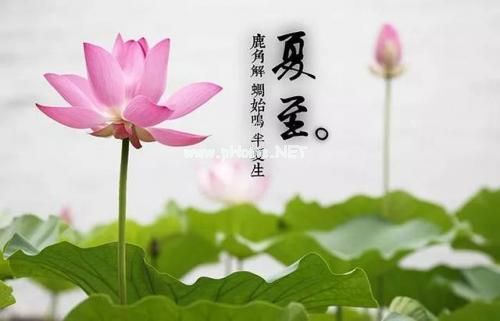 夏至说说短句子16句