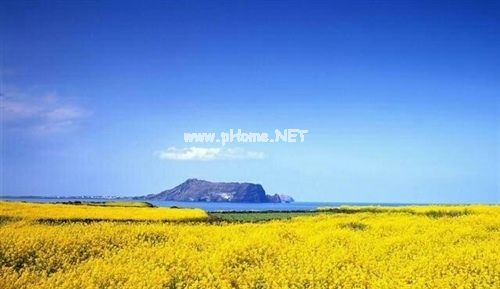 靠自己最实在说说 求谁不如求自己说说22句