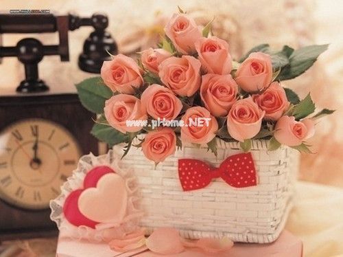 520对老婆表白情话说说大全集合29句