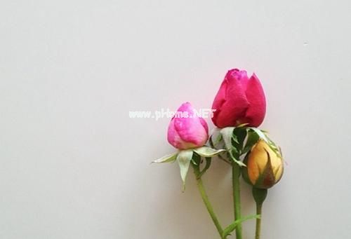 压抑憋屈的伤感说说 有些人离开就是离开了