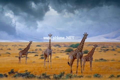 恋爱一周年纪念日说说 相爱一周年纪念日情书
