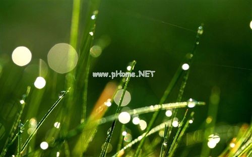 关于理解的图片说说心情 希望被理解的说说