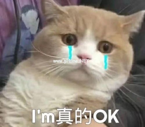 半夜腰疼得睡不着发的朋友圈说说23句