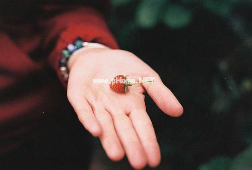 唯美抒情的短句