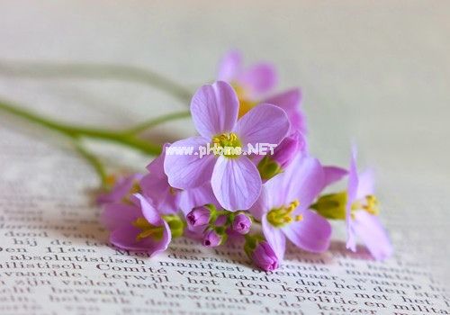 适合女生深夜发朋友圈的说说40句