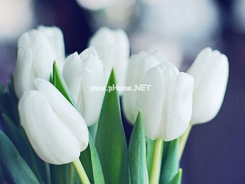 生孩子发朋友圈的句子20句