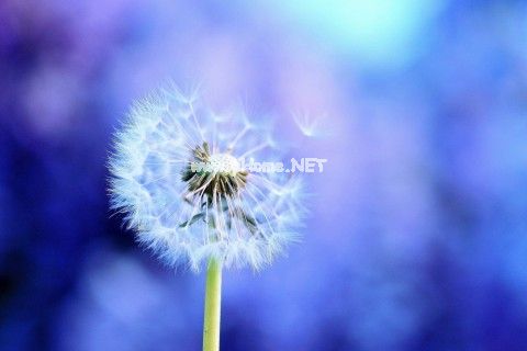 有关爱情的心情说说19句