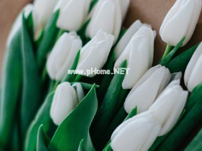 开启全新六月的说说配图 2023你好六月心情句子简单一句话
