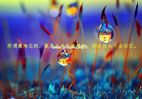 我真的好想一睡不醒的说说