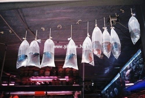 世界上最心痛的说说让人撕心裂肺精选35句