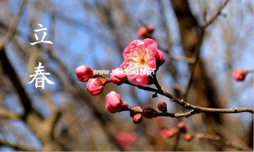 适合立春发的朋友圈祝福语说说39句