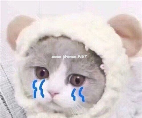 脸上长痘痘了心情不好的说说26句