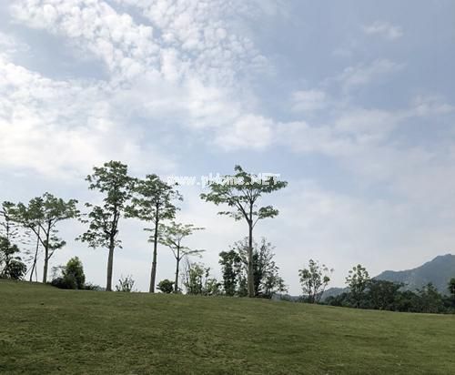 喜欢夏天心情说说短句子33句